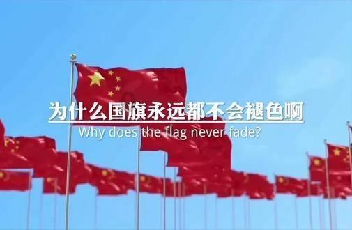 重生之玫瑰豪门